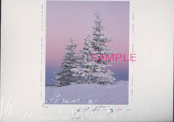 Glittering Sunset Christmas Card