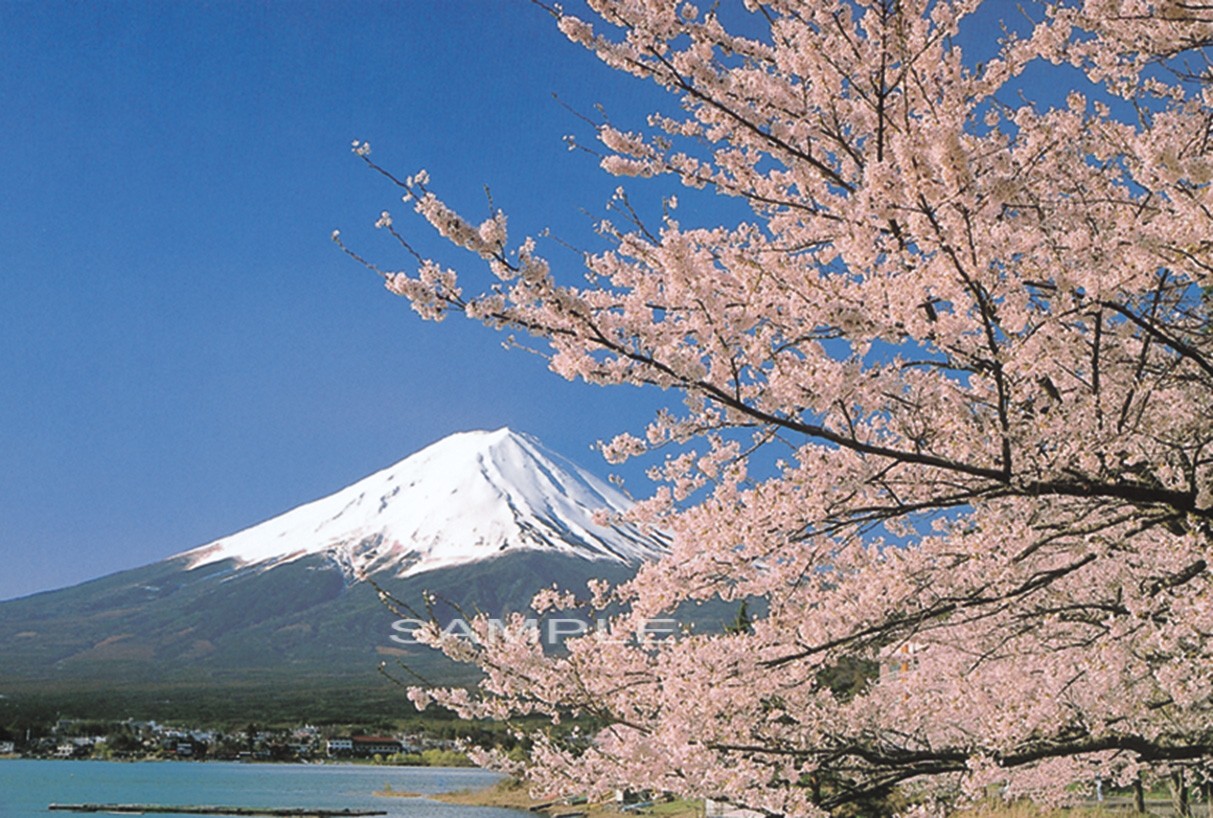 春富士